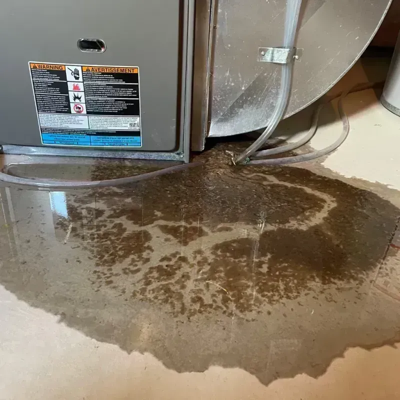 Appliance Leak Cleanup in Wellton, AZ